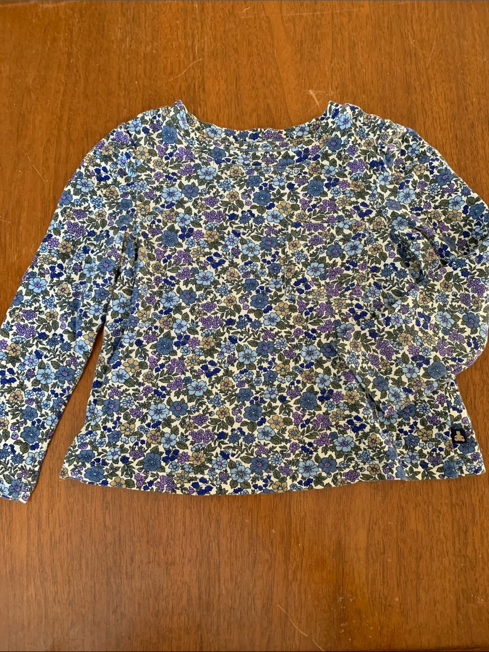 🍊5/$25 GAP Girls Floral Long Sleeve Tee in Blue, Purple and Cream size 2T